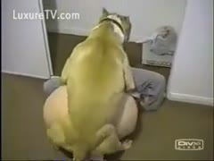Chubby middle-aged whore getting fucked by her aggressive dog